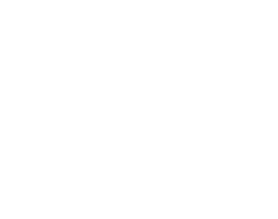 Witt Orthodontics P C logo